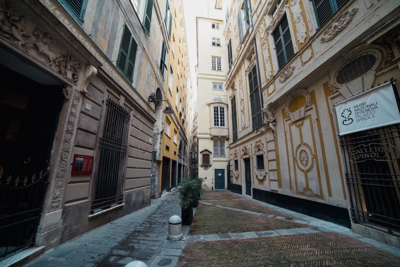 Apartment Rolli Dream